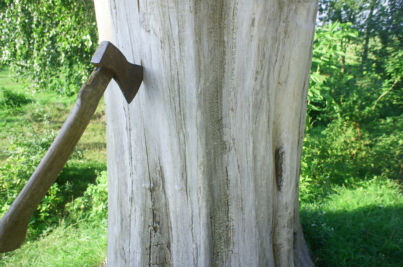 Kirvis, Medis, Sausa Mediena, Mediena, Lumberjack, Nemokamos Nuotraukos,  Nemokama Licenzija