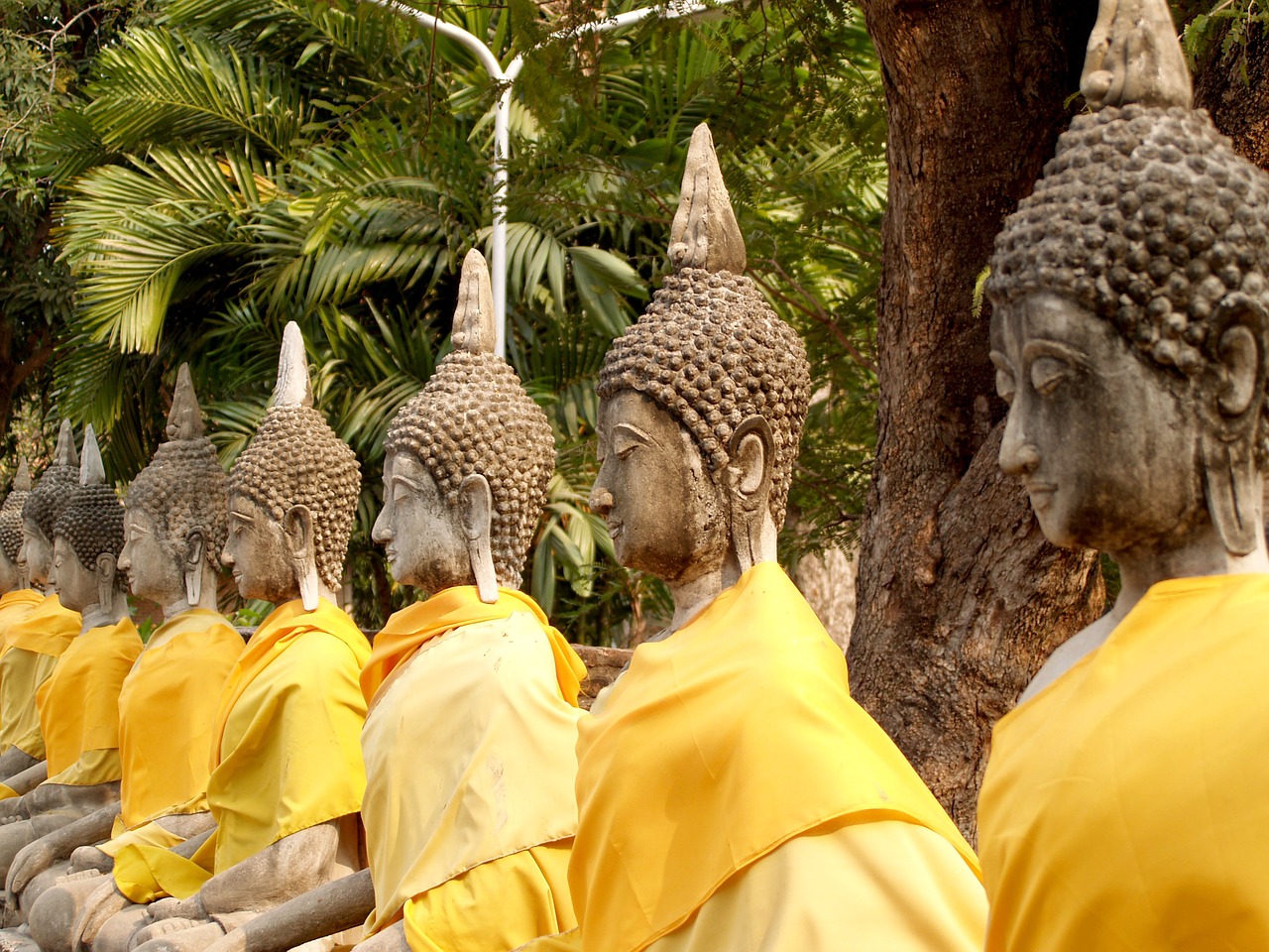 Ayutthaya, Tailandas, Tautybė, Skulptūra, Rytietiškas, Kelionė, Statula, Wat, Orientyras, Kultūra