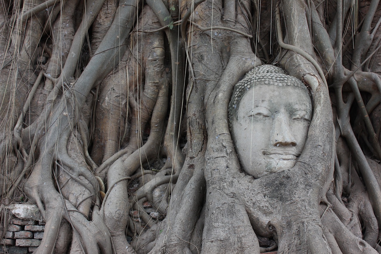 Ayutthaya, Buda, Šaknys, Tailandas, Šventykla, Vaizdas, Įsipainiojęs, Medis, Nemokamos Nuotraukos,  Nemokama Licenzija