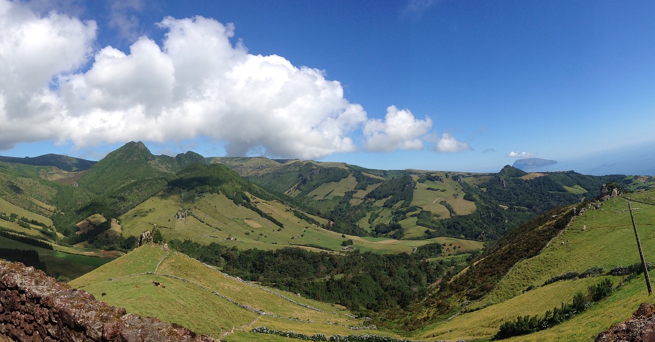 Azores, Kalvos, Vaizdas, Nemokamos Nuotraukos,  Nemokama Licenzija