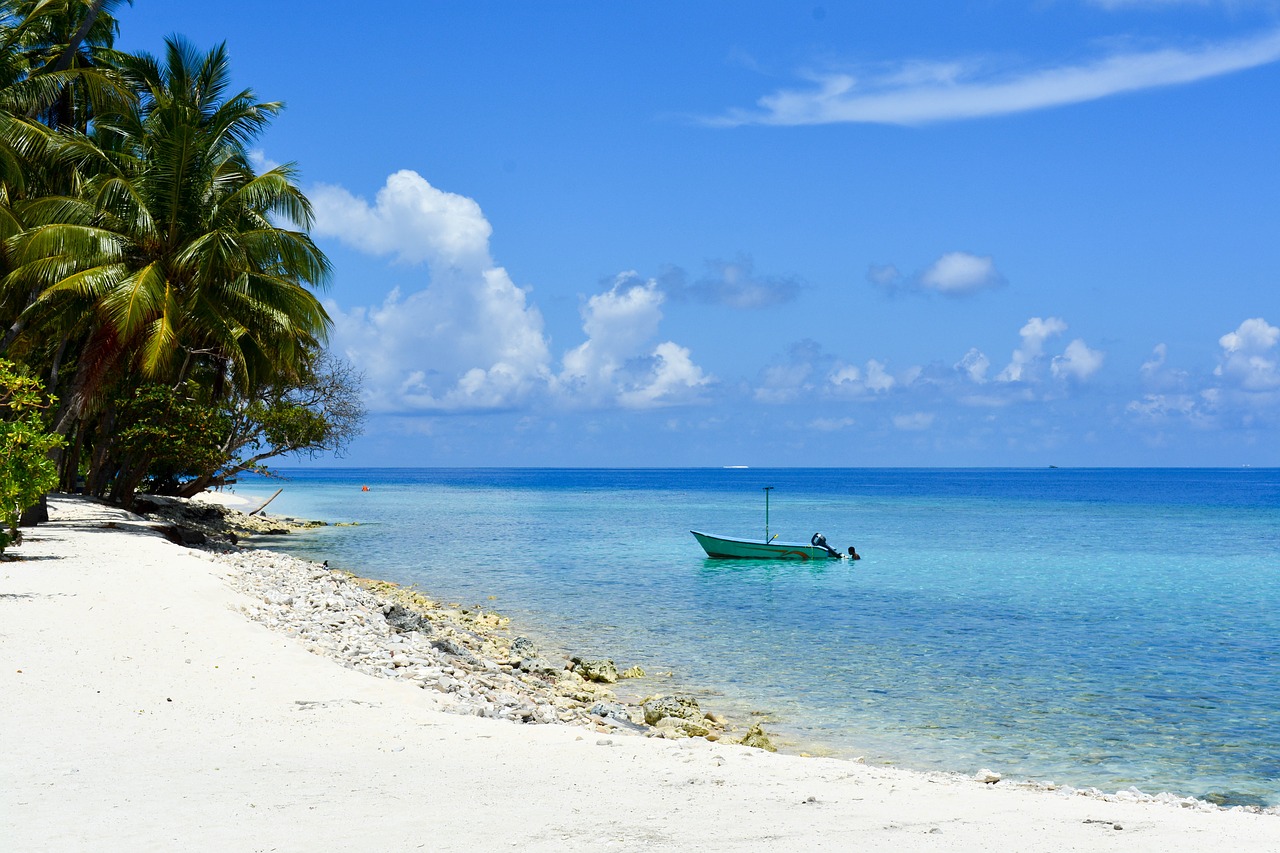 Baa, Dharavandhoo, Maldyvai, Papludimys, Palmės, Valtis, Nemokamos Nuotraukos,  Nemokama Licenzija