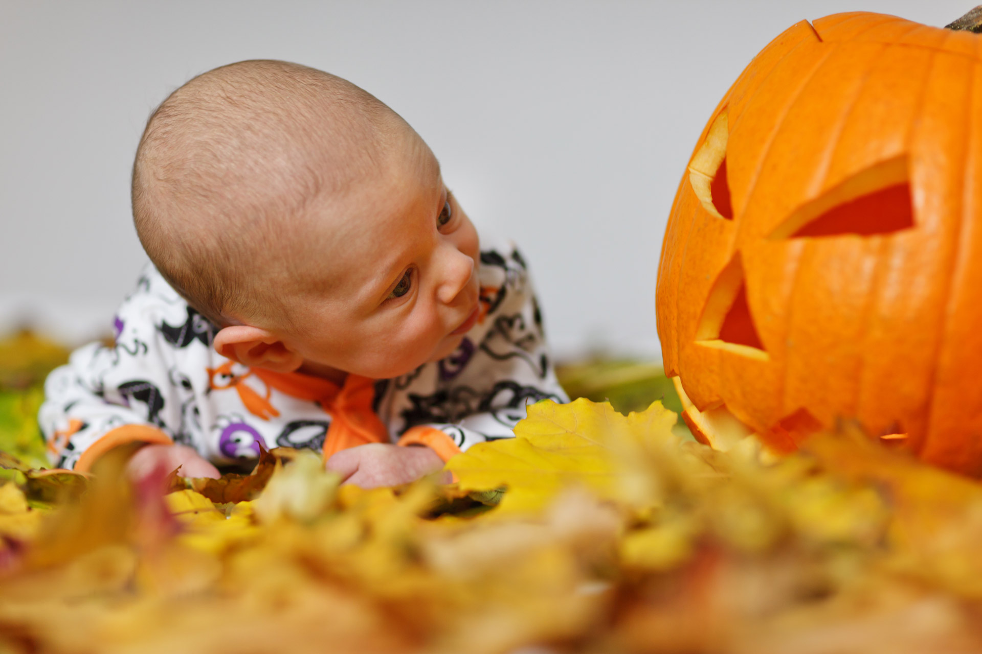 Žavinga,  Ruduo,  Kūdikis,  Berniukas,  Vaikas,  Kostiumas,  Mielas,  Kritimas,  Linksma,  Halloween