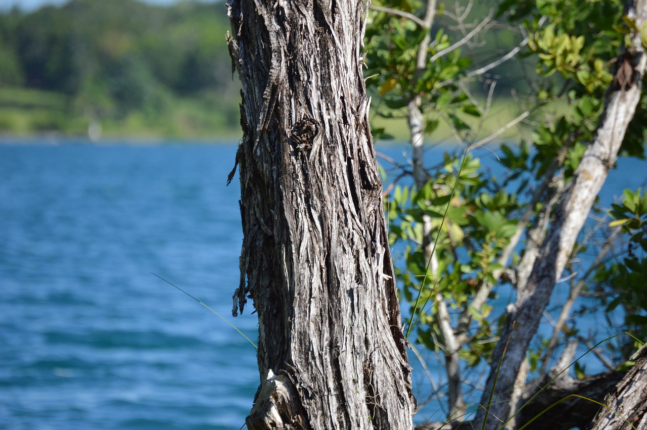 Bacalar, Laguna, Vanduo, Kraštovaizdis, Meksika, Gamta, Nemokamos Nuotraukos,  Nemokama Licenzija