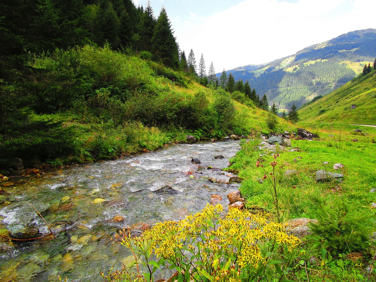 Bachas, Vanduo, Pieva, Srautas, Austria, Miškas, Idiliškas, Alpių, Kalnai, Gamta