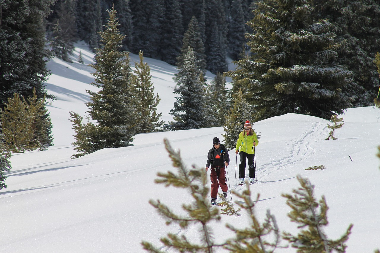 Slidinėjimo Trasa, Slidinėjimas, Kalnas, Off-Piste, Atokrainienė, Gamta, Nemokamos Nuotraukos,  Nemokama Licenzija