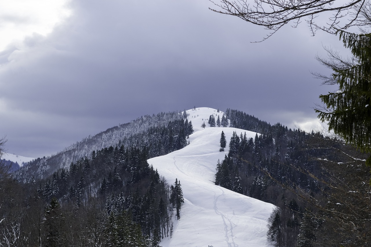 Šaltas, Gruodžio Mėn ., Miškas, Šaltis, Sušaldyta, Ledas, Kraštovaizdis, Kalnas, Gamta, Niekas