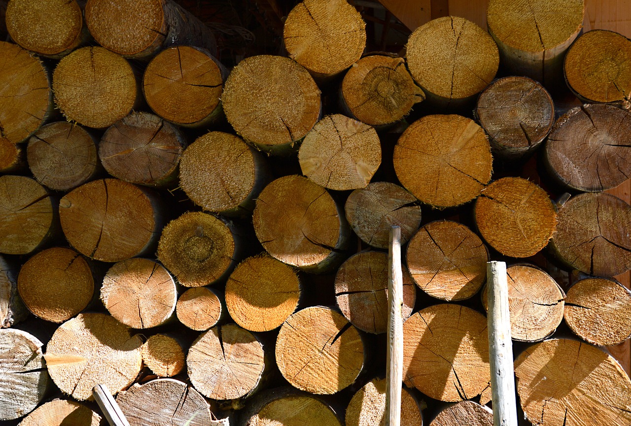 Fonas, Mediena, Holzstapel, Malkos, Saulė, Saulės Šviesa, Pjauna, Augimo Atsargos, Padermės, Tekstūra