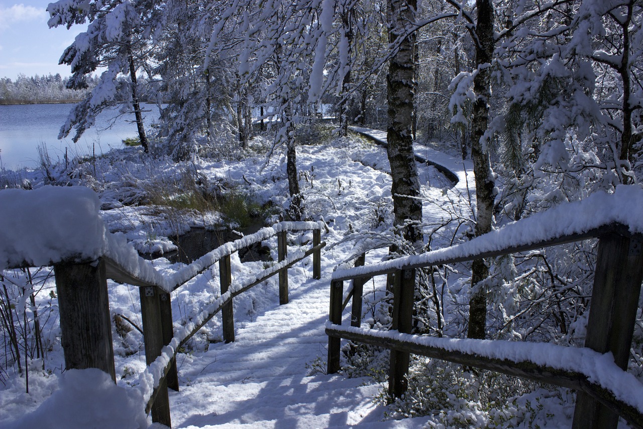 Blogas Wurzach, Gamtos Rezervatas, Kiauras, Pavasarį Sniegas, Pelkės, Kraštovaizdis, Pelkė, Sniegas, Wurzacher Ried, Riedsee