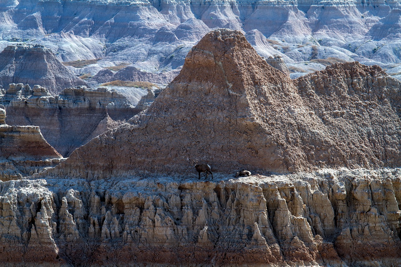 Badlands Nacionalinis Parkas, Pietinė Dakota, Usa, Lakota, Jungtinės Valstijos, Badlands, Amerikietis, Kraštovaizdis, Šiaurės Amerika, Nacionalinis Parkas