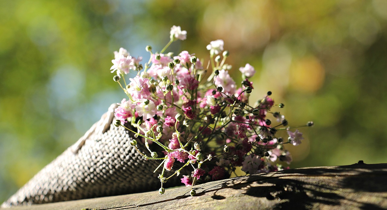 Maišas Gypsofilia Sėklos, Gypsophila, Maišas, Dekoratyvinė Gėlė, Dekoratyvinis Augalas, Gėlės, Gamta, Baltos Gėlės, Rožinės Gėlės, Rožių Gėlės