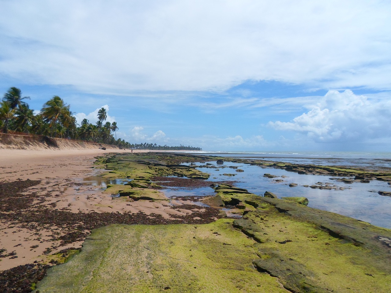 Bahia, Apleistas Paplūdimys, Stiprus Paplūdimys, Brazilija, Nemokamos Nuotraukos,  Nemokama Licenzija