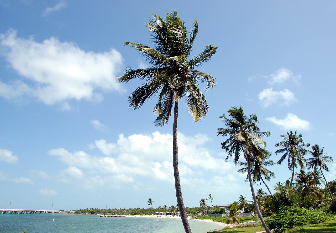 Bahia Honda, Valstybinis Parkas, Florida, Pagrindinis Vakaras, Tropinis Klimatas, Papludimys, Vandenynas, Palmės, Turizmas, Kraštovaizdis