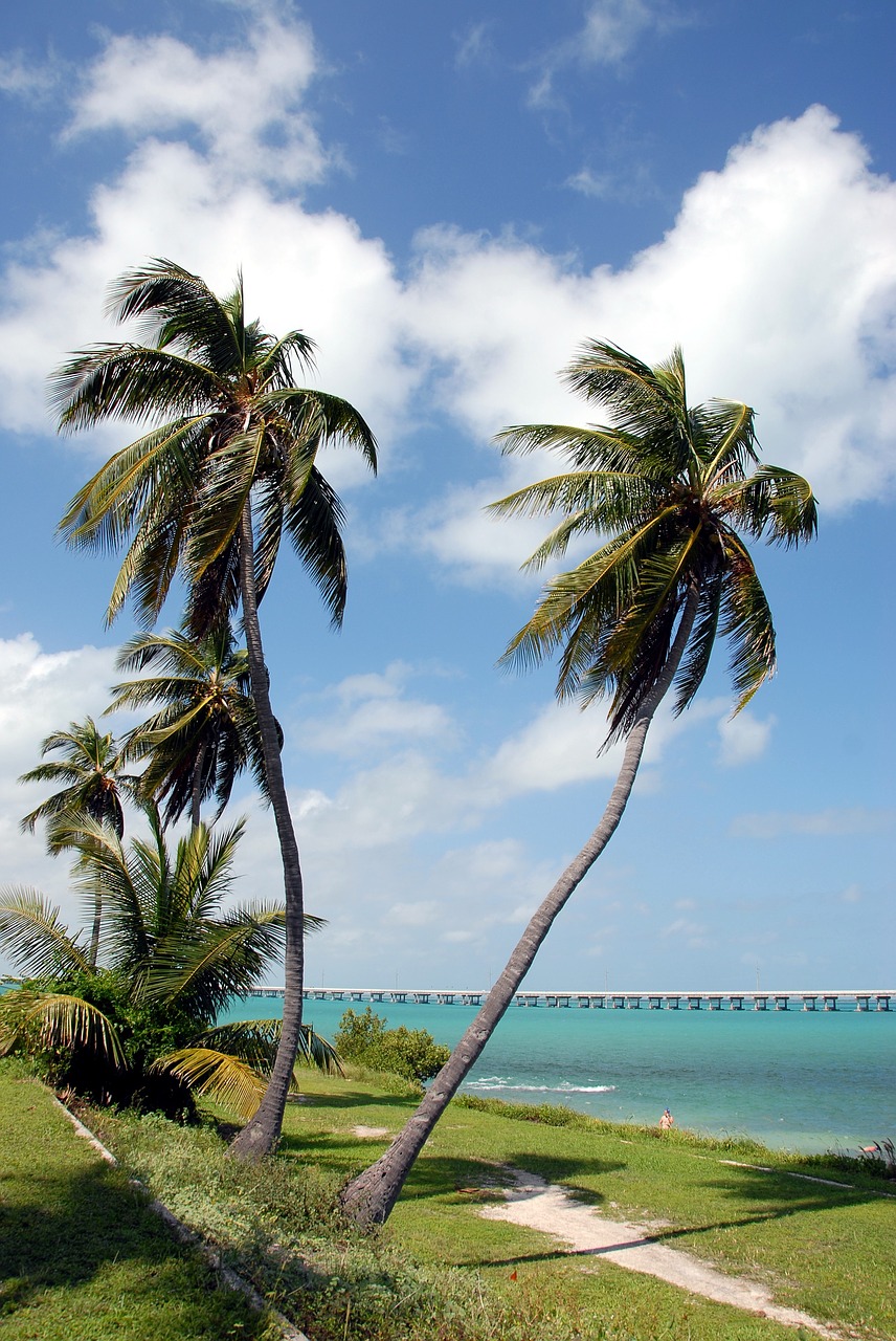 Bahia Honda Valstybinis Parkas, Florida Raktus, Septynių Mylių Tiltas, Turizmas, Atostogos, Pagrindinis Vakaras, Florida, Vanduo, Vandenynas, Usa