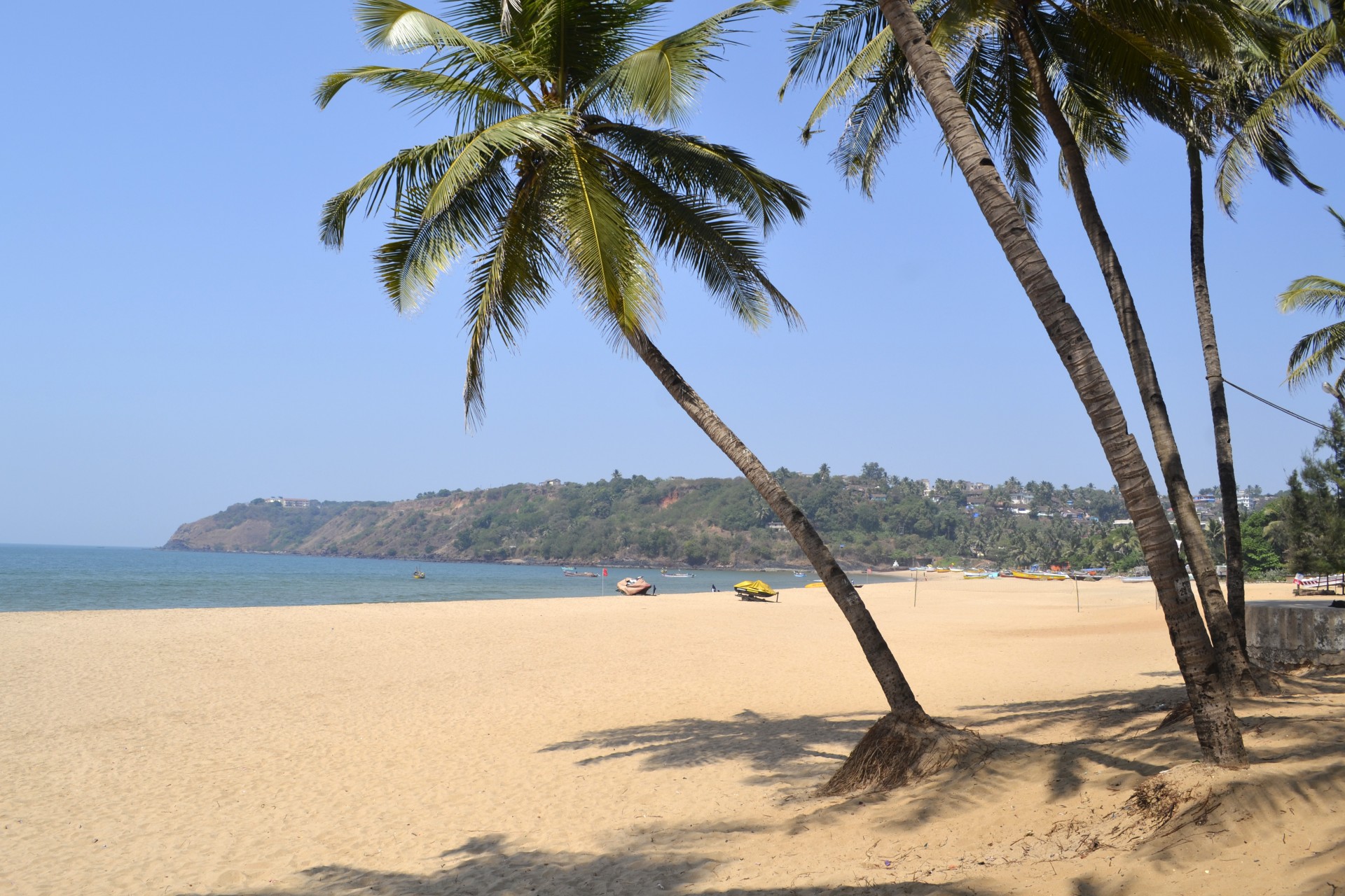 Papludimys,  Goa,  Palmių & Nbsp,  Medžiai,  Smėlis,  Vanduo,  Baina,  Baina Paplūdimys, Nemokamos Nuotraukos,  Nemokama Licenzija
