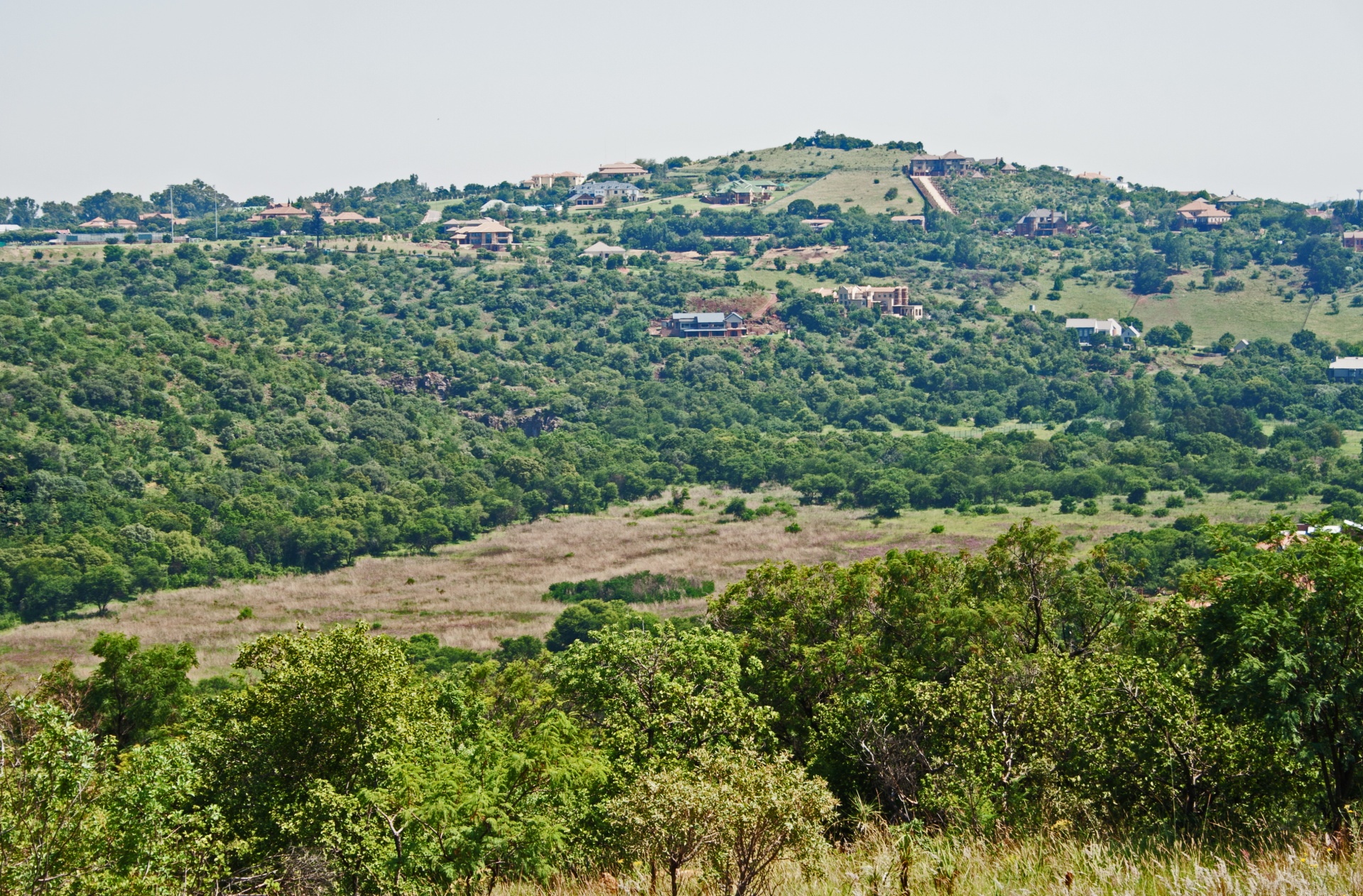 Gamta,  Kraštovaizdis,  Plotas,  Biome,  Aplinka,  Buveinė,  Veld,  Krūmas,  Medžiai,  Kalvos