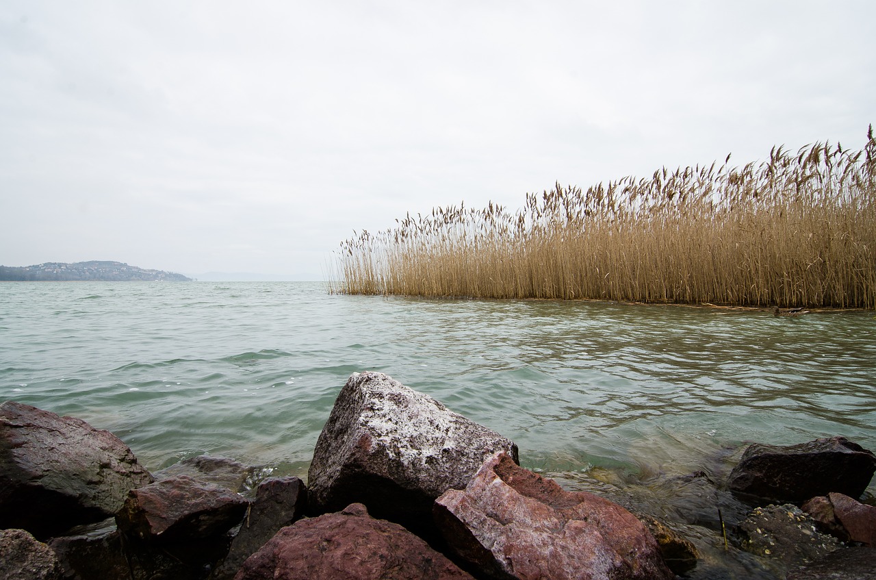 Balaton, Ežeras, Vengrija, Nemokamos Nuotraukos,  Nemokama Licenzija