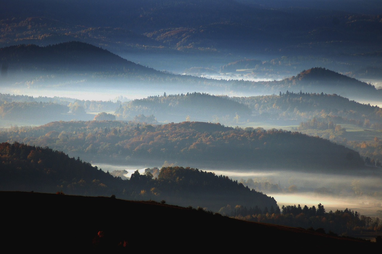 , Nemokamos Nuotraukos,  Nemokama Licenzija