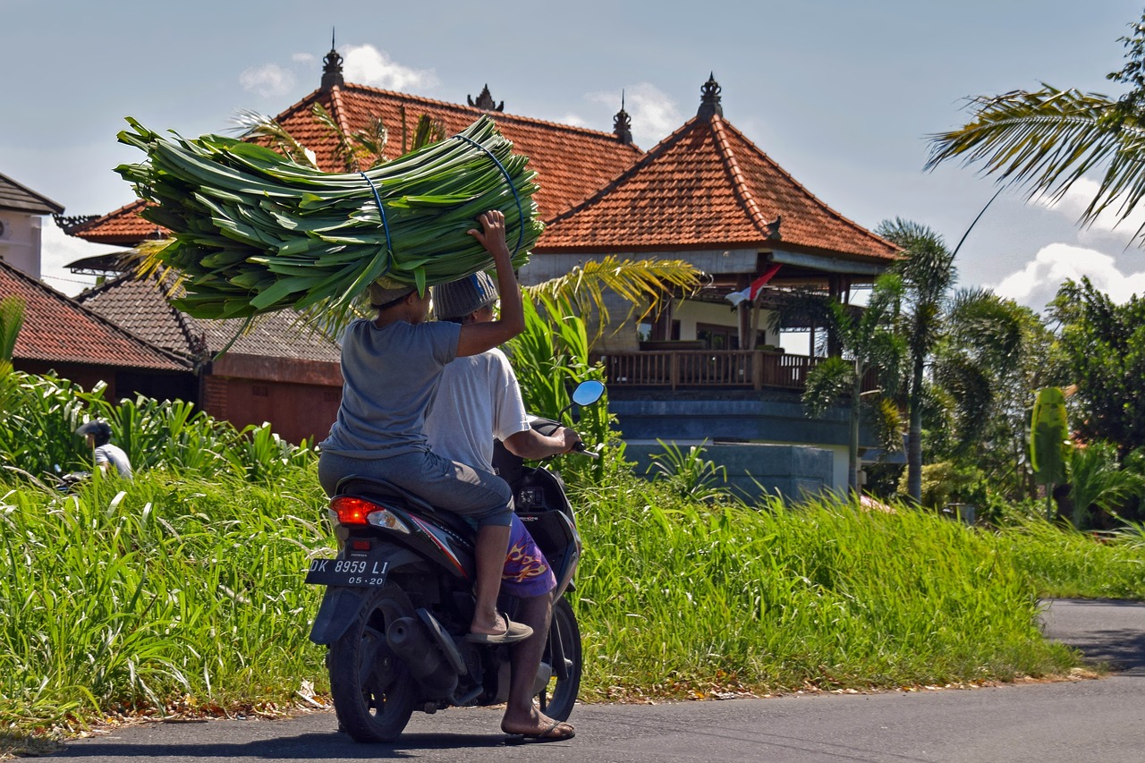Bali, Indonezija, Kelionė, Motociklas, Motociklininkas, Nemokamos Nuotraukos,  Nemokama Licenzija