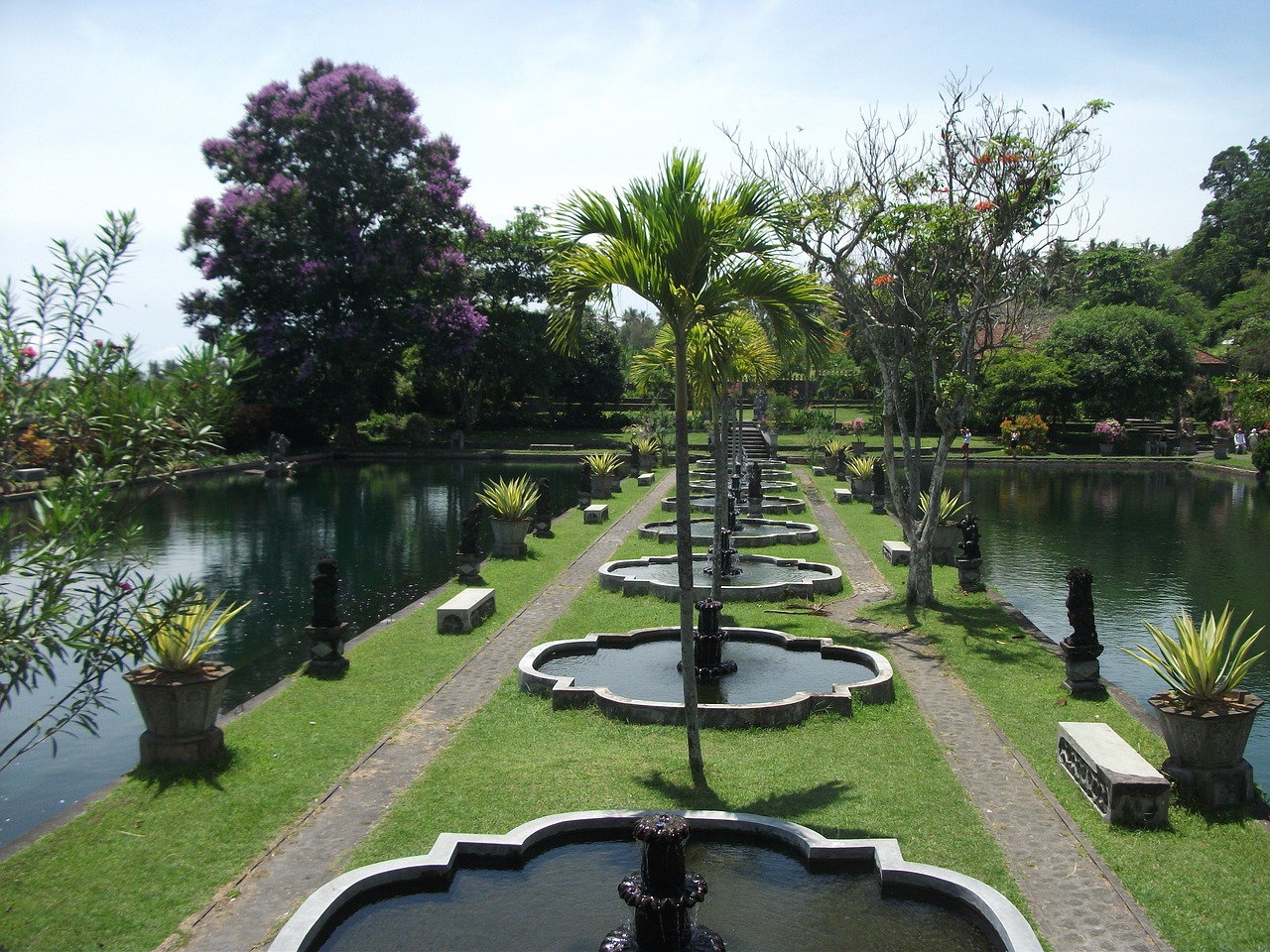 Bali, Indonezija, Asija, Sodas, Gamta, Medis, Žalias, Kelionė, Kultūra, Nemokamos Nuotraukos