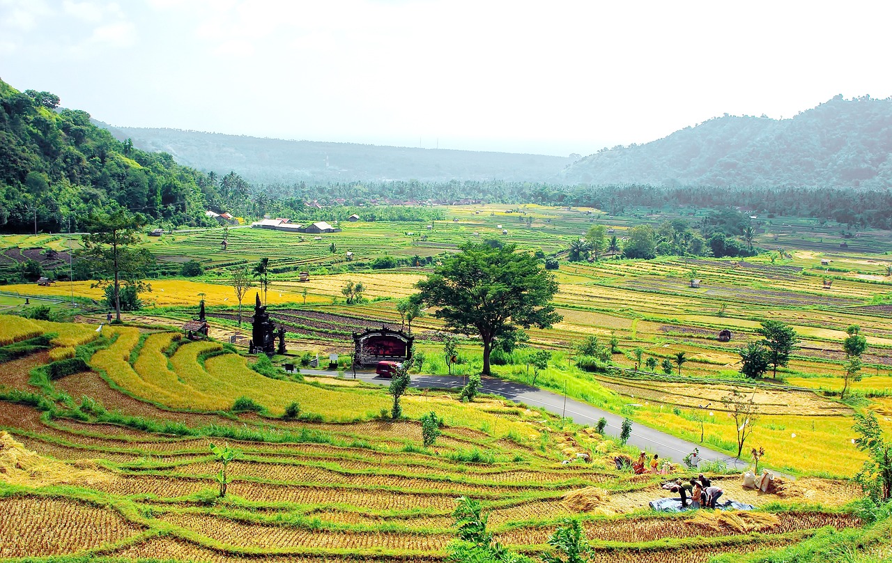 Bali, Indonezija, Ryžiai, Derlius, Ugnikalniai, Kraštovaizdis, Panorama, Pagoda, Nemokamos Nuotraukos,  Nemokama Licenzija