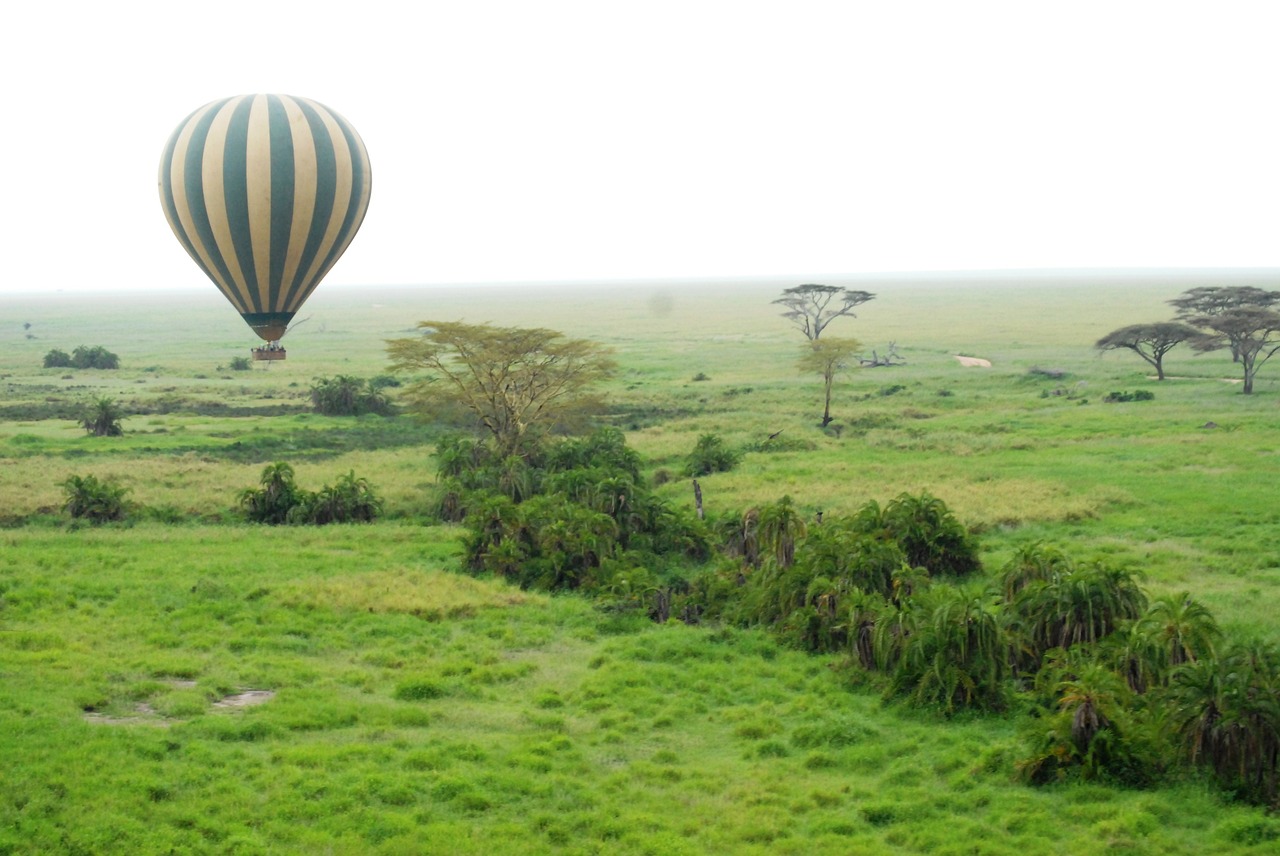 Balionas, Serengeti, Tanzanija, Afrika, Karšto Oro Balionas, Kraštovaizdis, Dykuma, Peizažas, Natūralus, Laukiniai