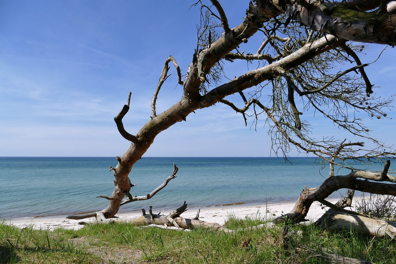 Baltijos Jūra, Vakarinis Paplūdimys, Fischland-Darss, Nacionalinis Parkas, Nemokamos Nuotraukos,  Nemokama Licenzija