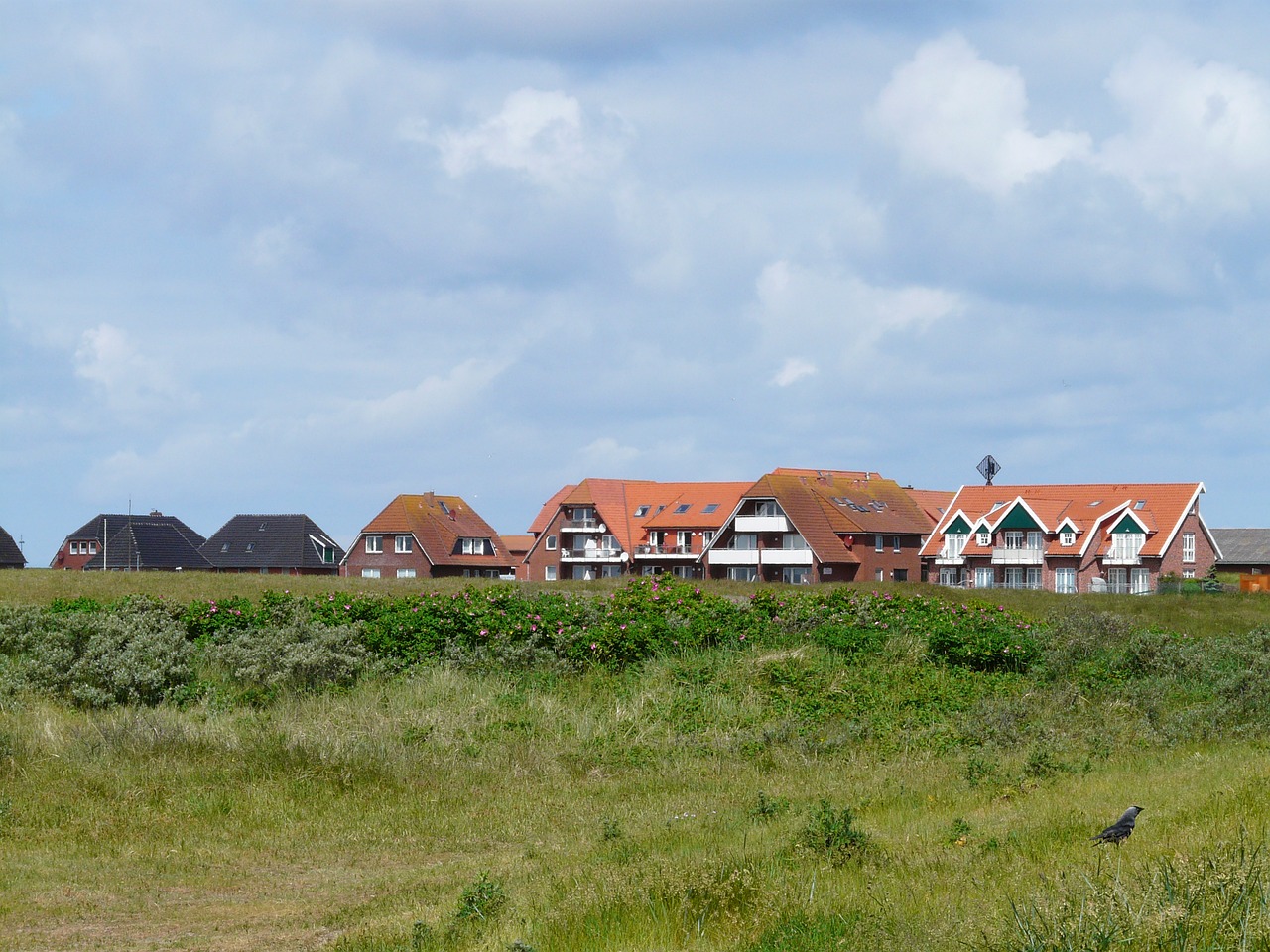 Baltrum, Šiaurės Jūra, Sala, Kaimas, Namai, Namai, Bendruomenė, Kopos Sala, Rytinė Frisia, Žemutinė Saksonija