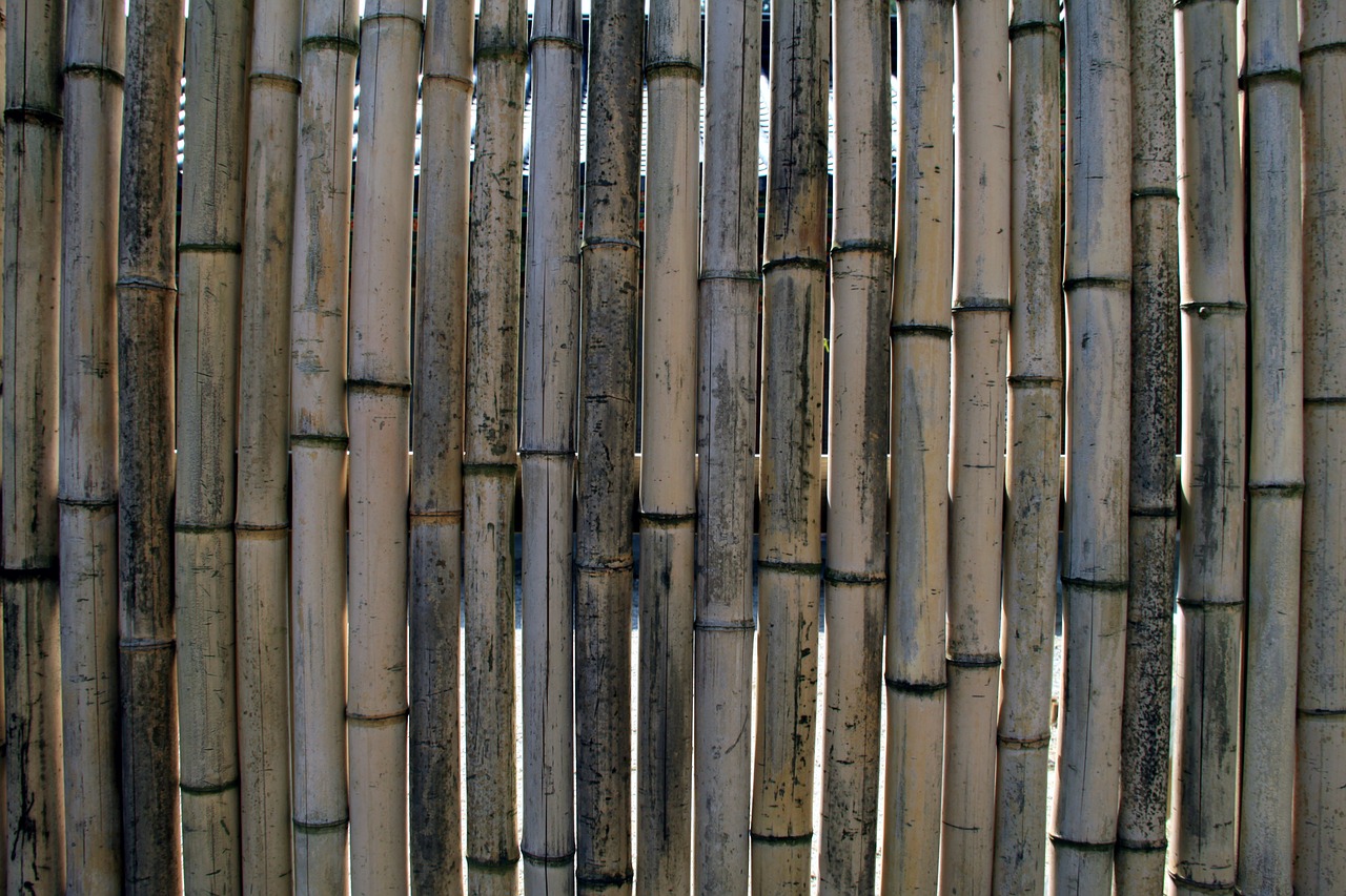 Bambukas, Tvora, Siena, Bambuko Siena, Nemokamos Nuotraukos,  Nemokama Licenzija