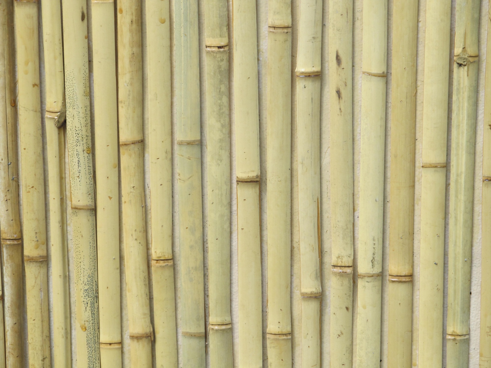 Bambukas,  Ekranas,  Linijos,  Modelis,  Tekstūra,  Siena,  Paviršius,  Medžiaga,  Tvirtas,  Grubus