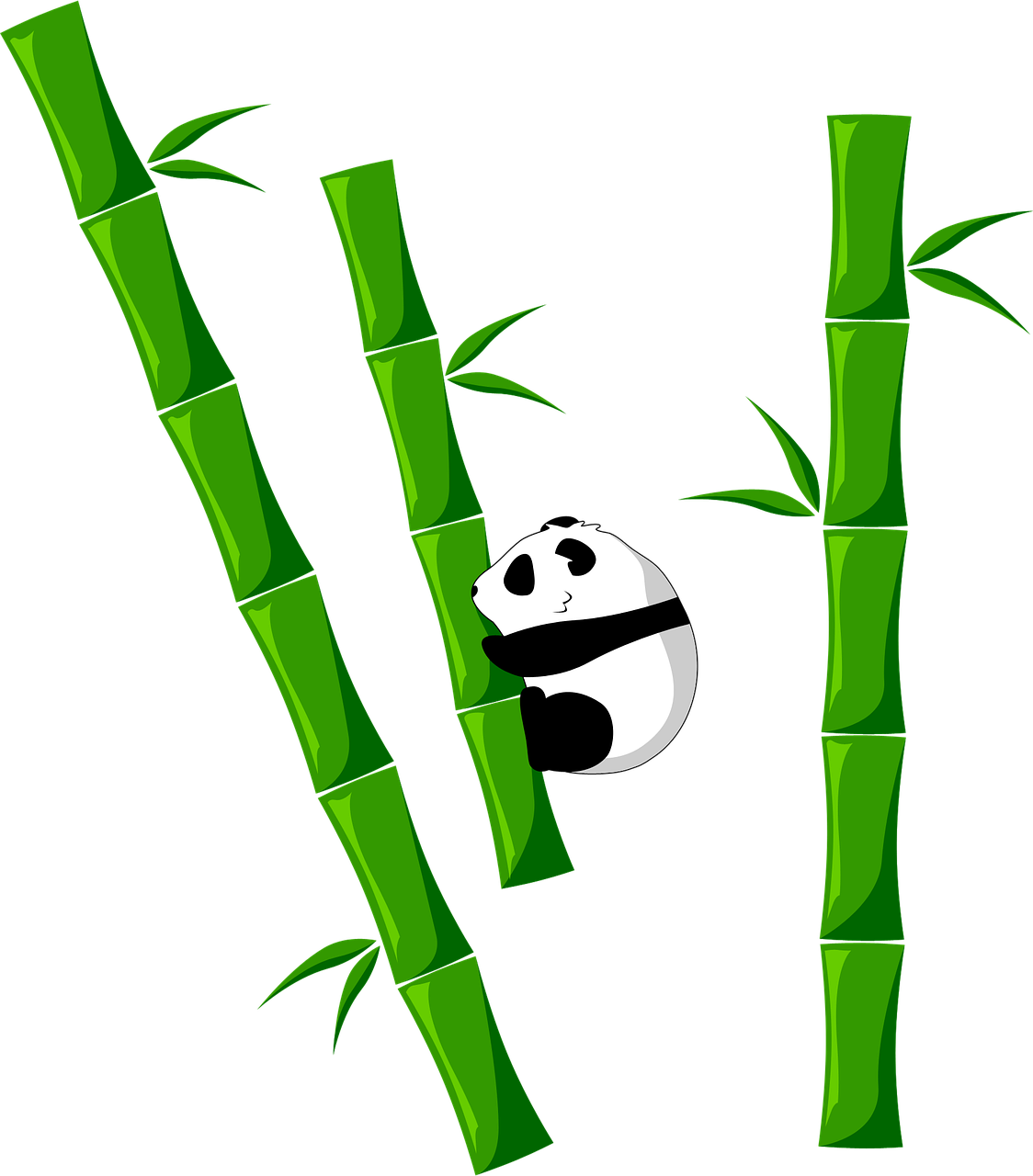 Bambukas, Panda, Turėti, Nemokamos Nuotraukos,  Nemokama Licenzija