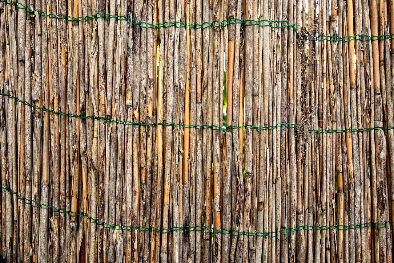 Bambuko Tvora, Sodo Tvora, Bambukas, Tvora, Pertvara, Barjeras, Japanese, Kinai, Nemokamos Nuotraukos,  Nemokama Licenzija