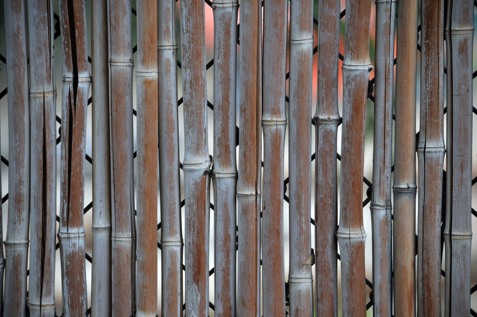 Fonas,  Tapetai,  Bambukas,  Ruda,  Žievė,  Tvora,  Modelis,  Tekstūra,  Gamta,  Bambuko Tvora Fone