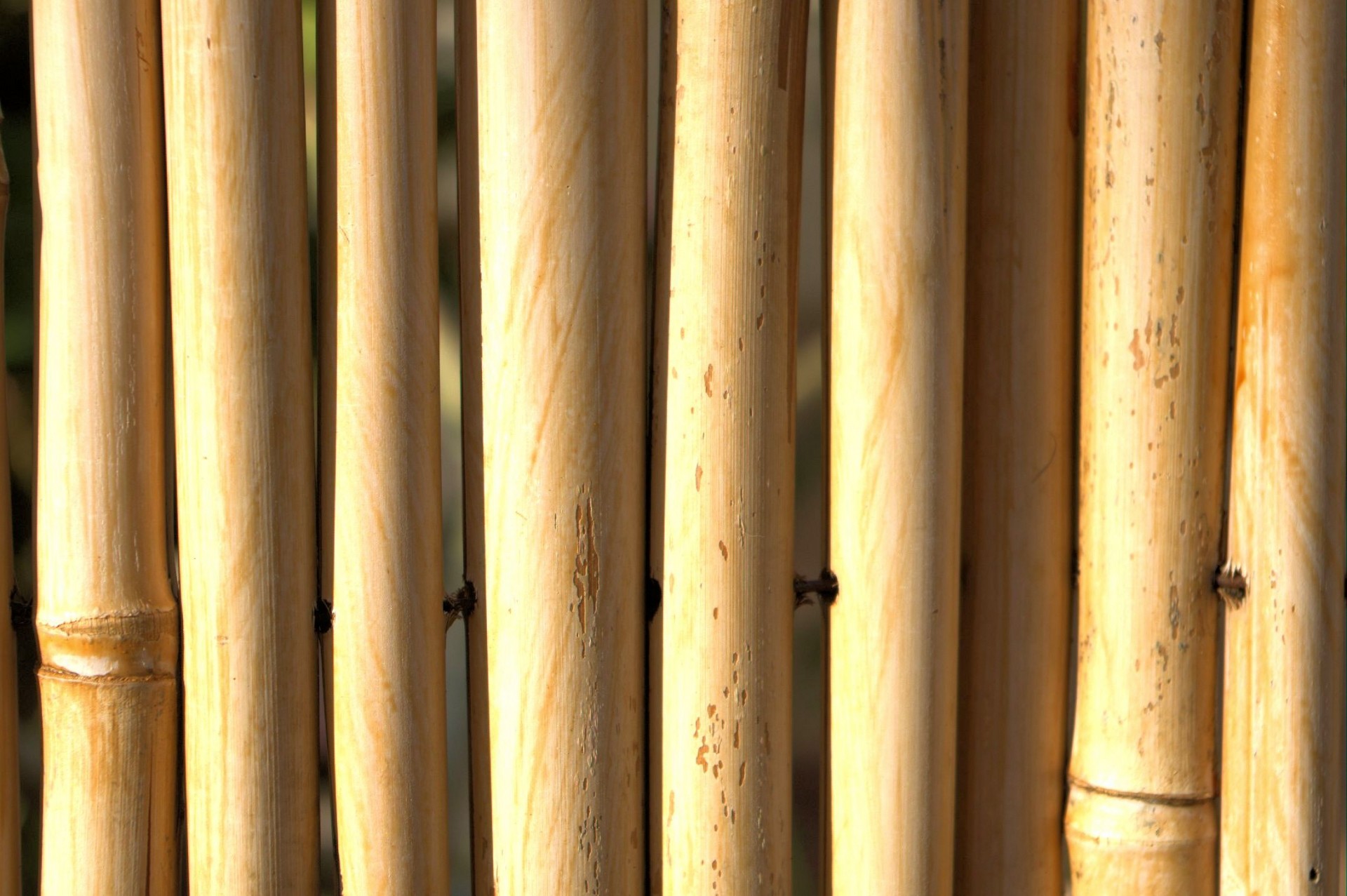 Bambukas,  Tvora,  Fonas,  Japonija,  Kinija,  Atimti,  Toli Į Rytus,  Dizainas,  Užuolaidos,  Bambuko Tvora Fone