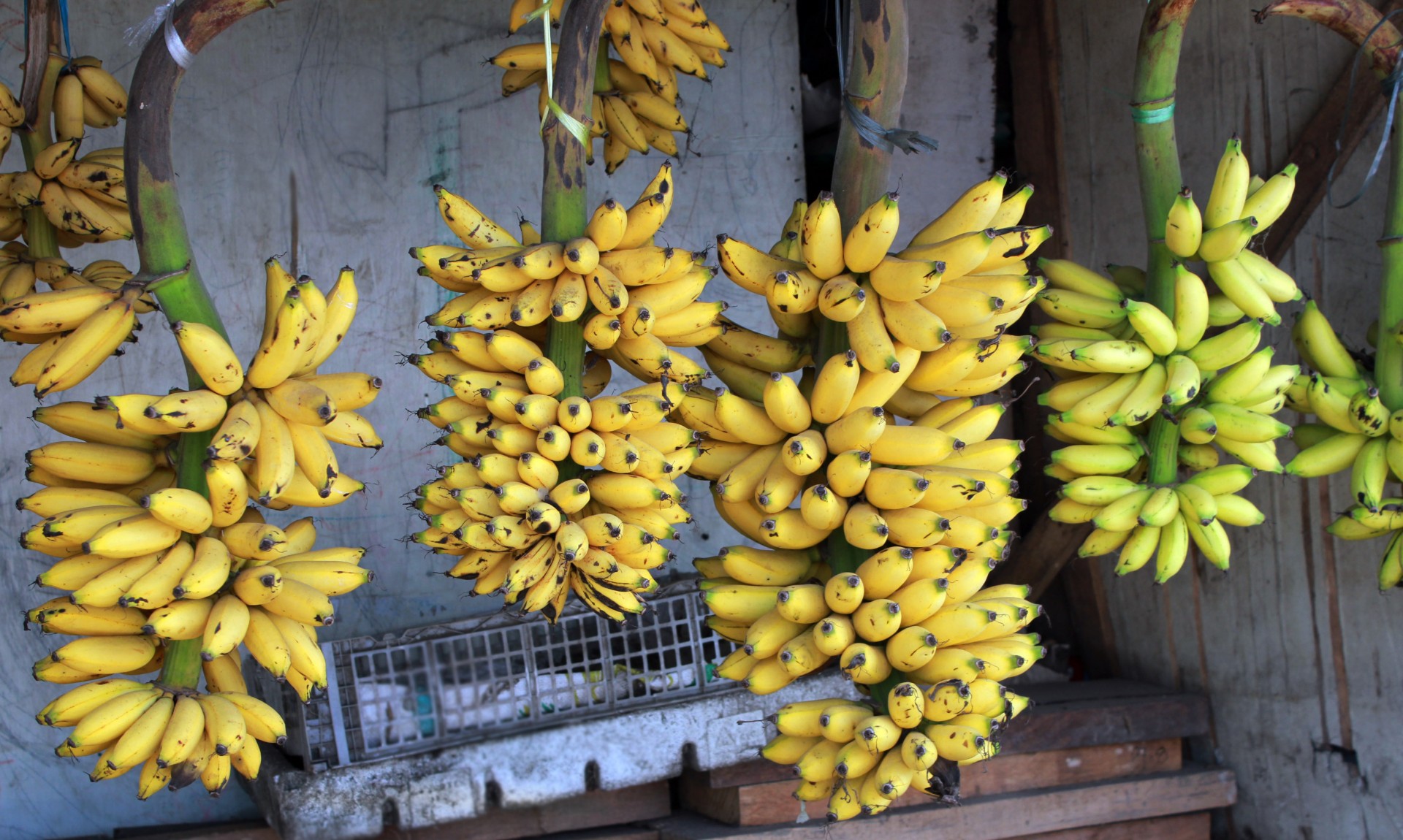 Bananas,  Senyorita & Nbsp,  Banana,  Kabantys Bananai,  Bananai,  Vaisiai,  Prinokę & Nbsp,  Bananą,  Vaisiai,  Geltona & Nbsp