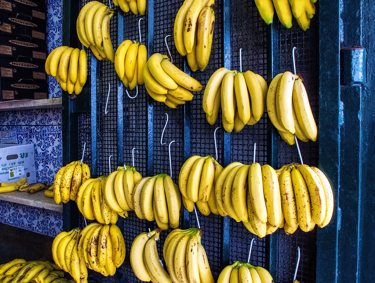 Bananas, Vaisiai, Veislyniai, Bananai, Geltona, Mėlynas, Kabliukai, Nemokamos Nuotraukos,  Nemokama Licenzija