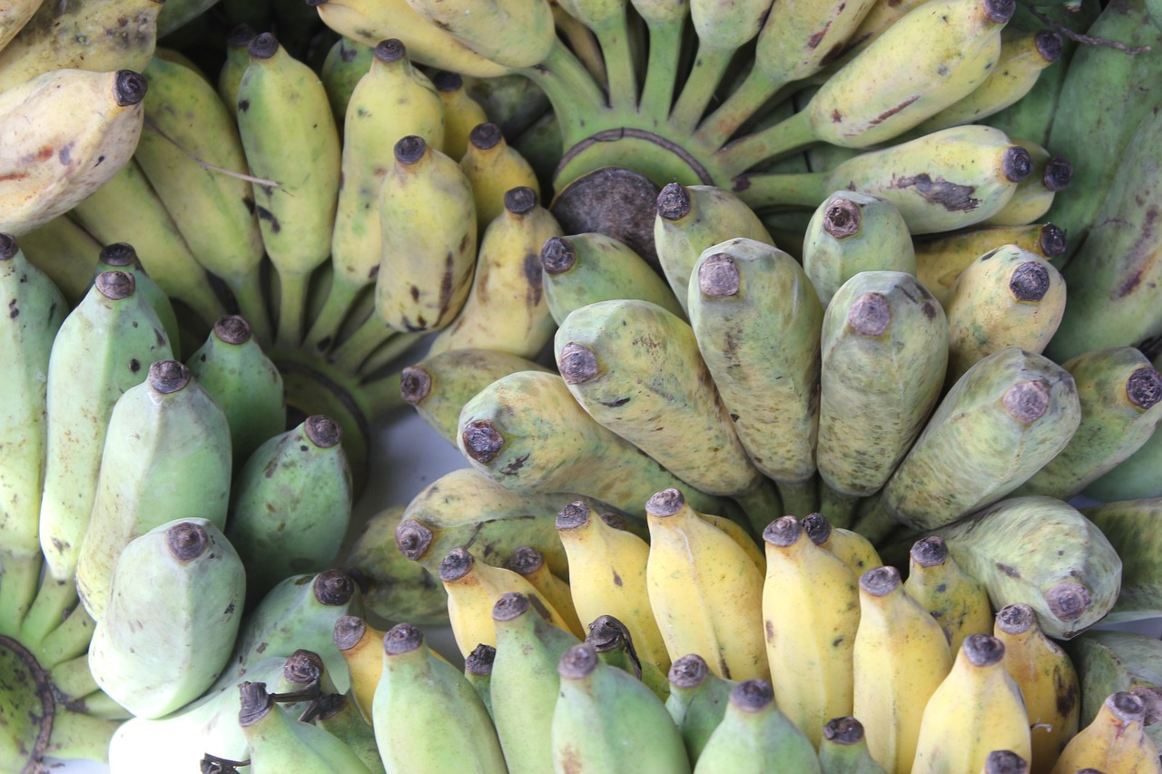 Bananas, Auginama Banana, Azijietiška Banana, Vaisiai, Ekologiškas, Atogrąžų, Sveikas, Šviežumas, Asian, Žemdirbystė