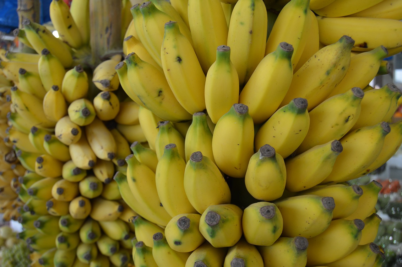Bananas, Maža Banana, Organinė Banana, Nemokamos Nuotraukos,  Nemokama Licenzija