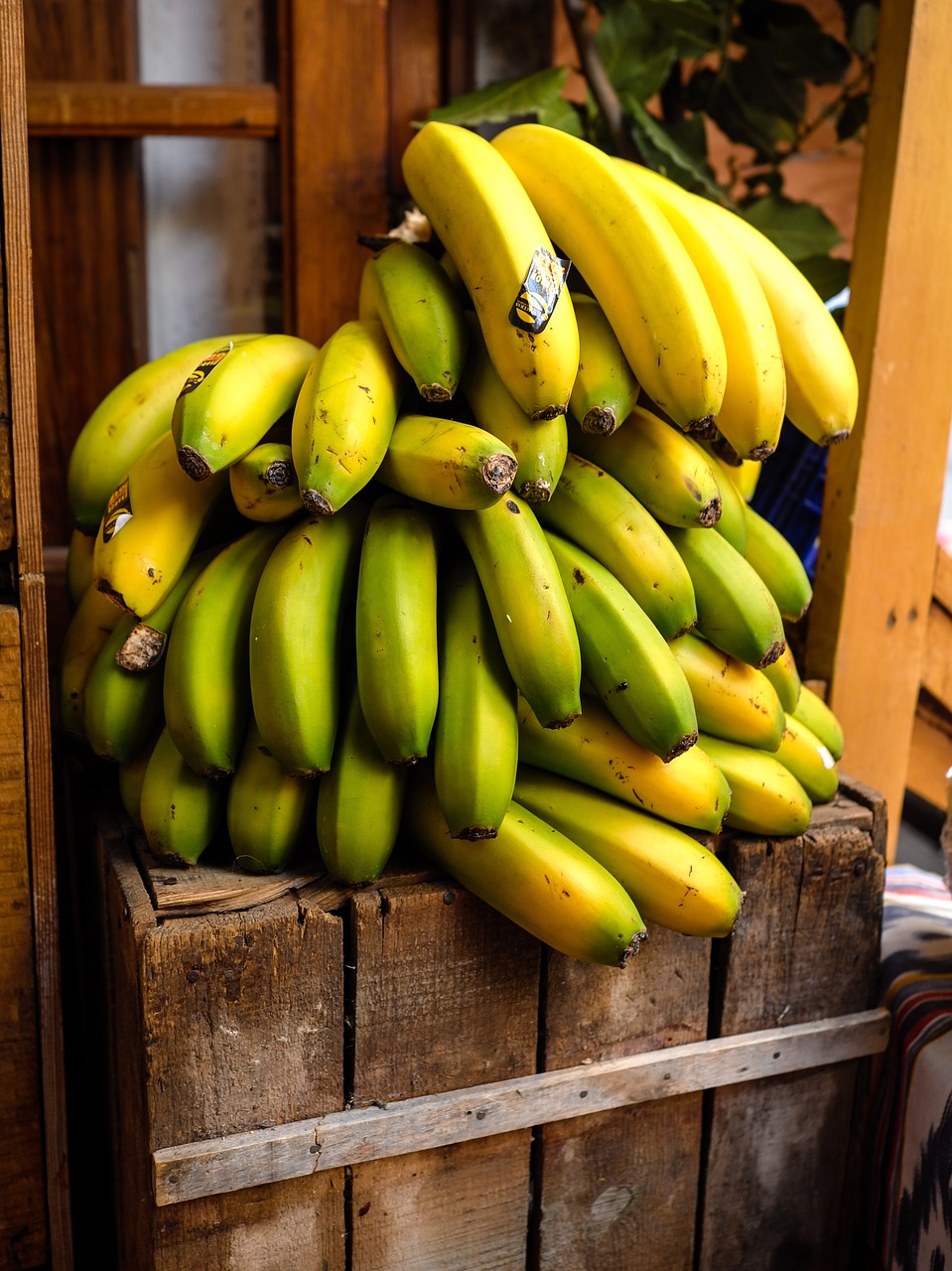 Bananų,  Vaisių,  Maisto,  Sveiki,  Bananai,  Tropical,  Geltona,  Mitybos,  Šviežias,  Vaisiai