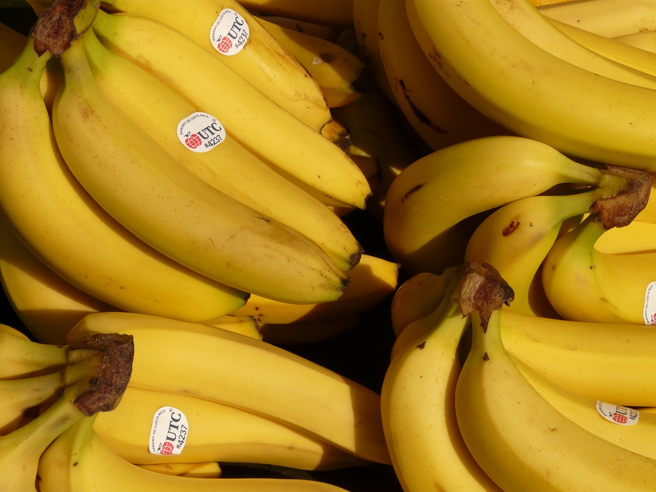Bananas, Vaisiai, Sveikas, Geltona, Atogrąžų, Maistas, Bananinis Krūmas, Krūmas, Bananai, Vaisių
