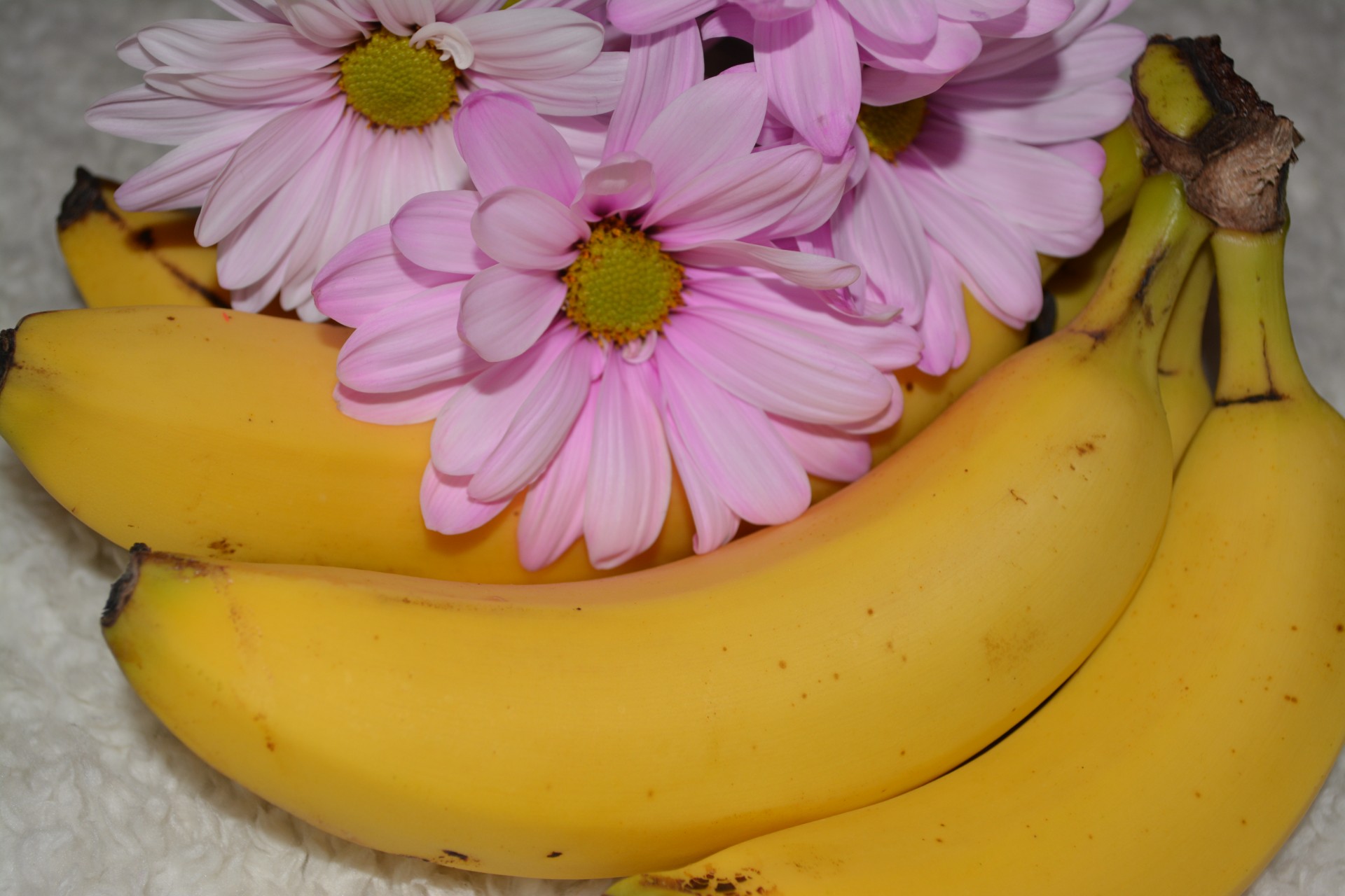 Bananas,  Gėlės,  Daisy,  Vaisiai,  Sveikas,  Rožinis,  Spalvinga,  Subtilus,  Geltona,  Daisy