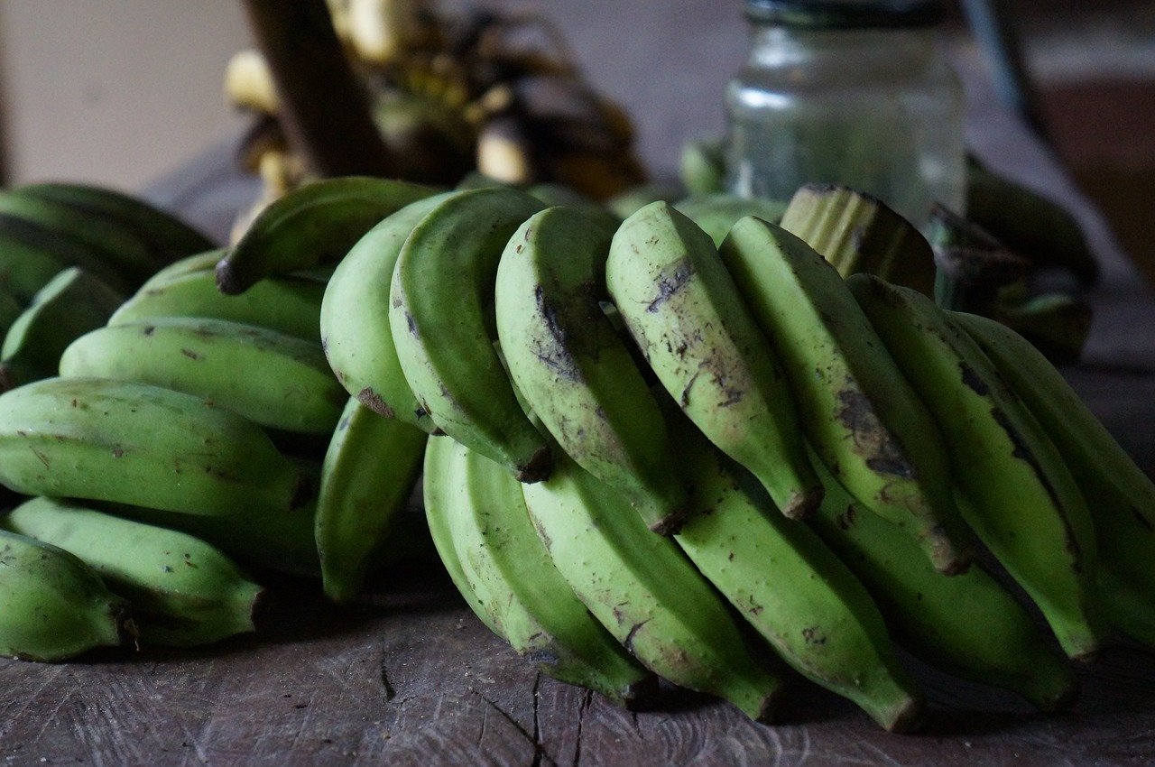Bananai, Žalias, Auginimas, Vaisiai, Gamta, Bananų Medis, Augalai, Maistas, Grožis, Nemokamos Nuotraukos
