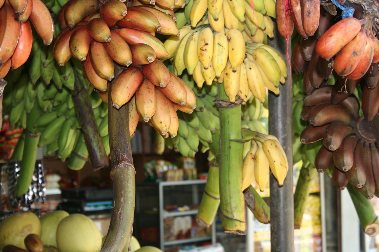 Bananai,  Šri Lanka,  Aikštė, Nemokamos Nuotraukos,  Nemokama Licenzija