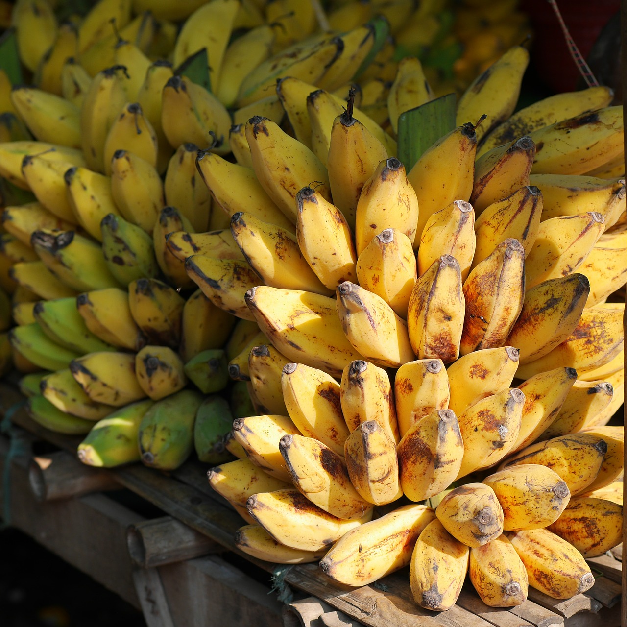 Bananai, Bananinis Krūmas, Vaisiai, Geltona, Maistas, Burma, Mianmaras, Nemokamos Nuotraukos,  Nemokama Licenzija