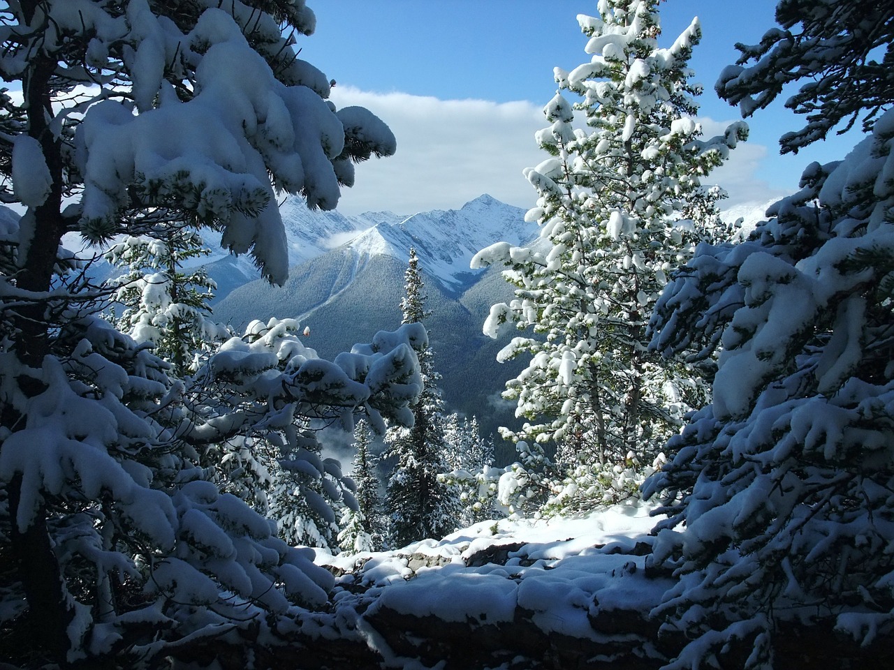 Banff, Kanada, Sniegas, Žiema, Balta, Žiemos Svajonė, Nemokamos Nuotraukos,  Nemokama Licenzija