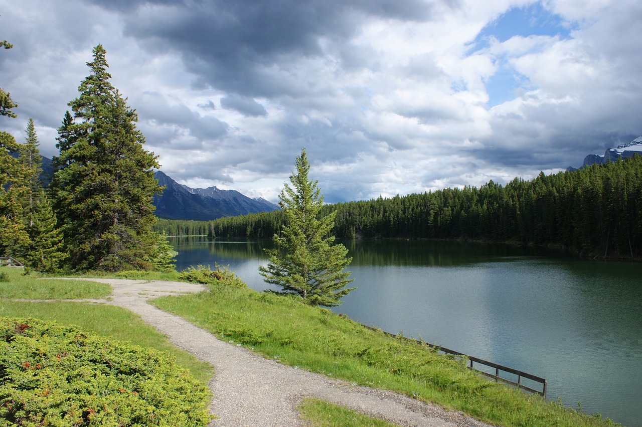 Banff, Kanada, Vaikščioti, Gamta, Kalnas, Parkas, Vasara, Laukiniai, Aplinka, Vaikščioti