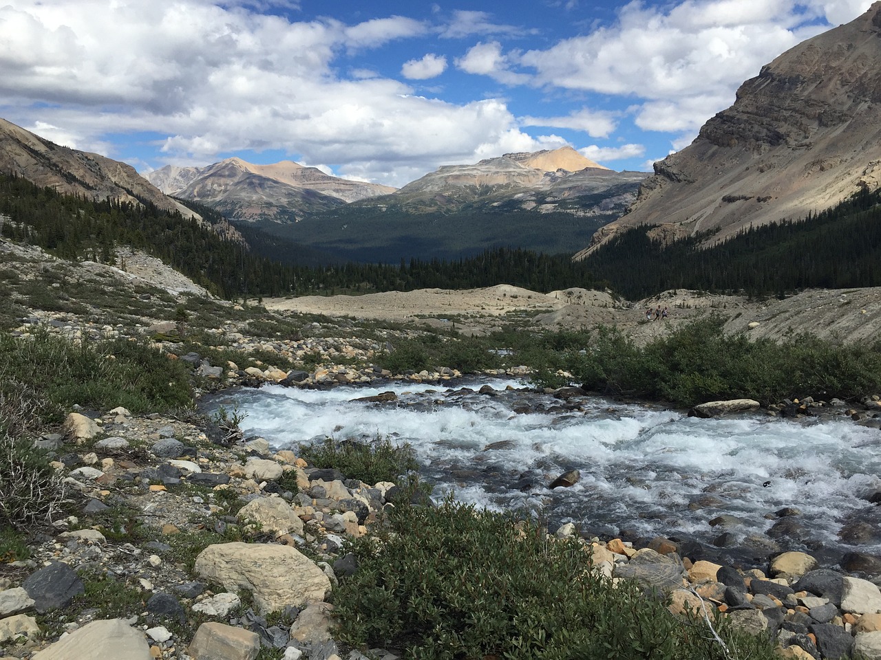 Banff, Vaizdingas, Vista, Upė, Alberta, Kanada, Kalnas, Gamta, Kanados, Peizažas