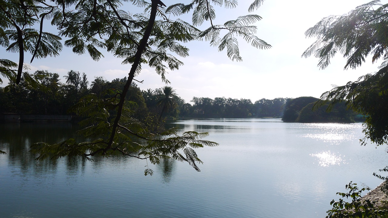 Bangalore, Ežeras, Žiema, Nemokamos Nuotraukos,  Nemokama Licenzija
