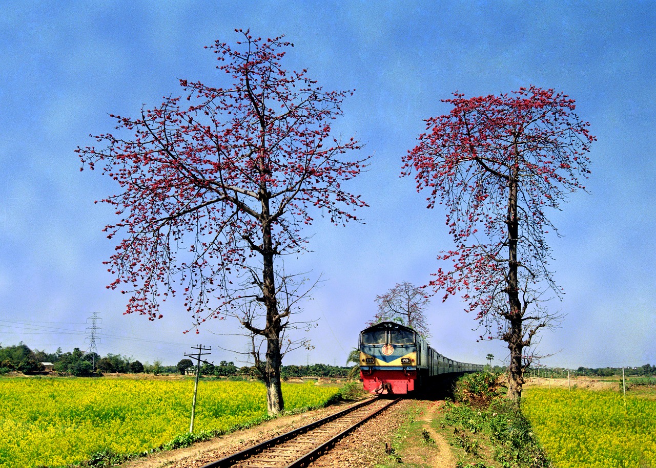 Bangladešas,  Traukinys,  Kraštovaizdis, Nemokamos Nuotraukos,  Nemokama Licenzija