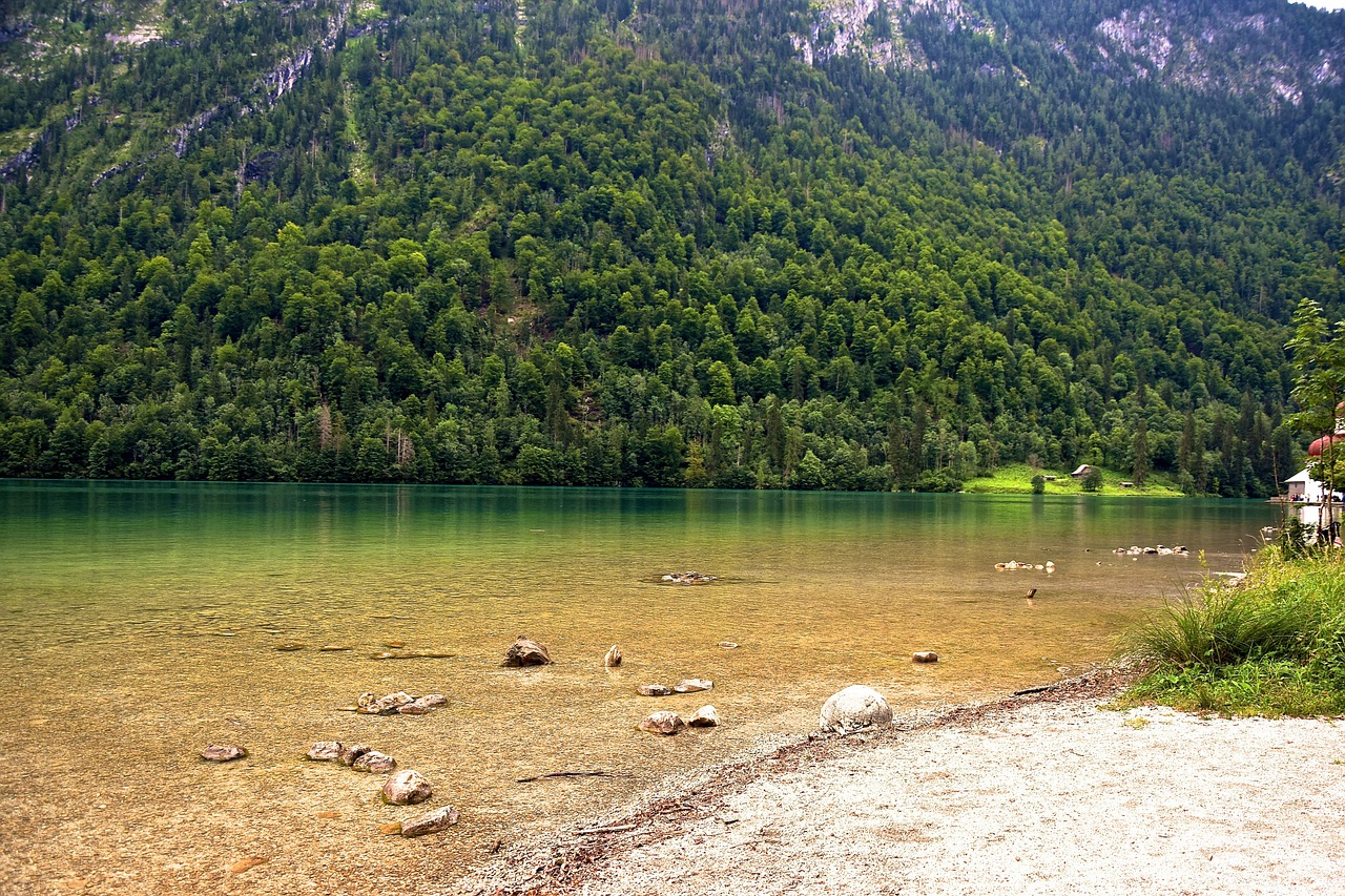 Bankas, Gamta, Nuotaika, Vanduo, Kraštovaizdis, Akmenukas, Ežeras, Akmuo, Medžiai, Vandenys