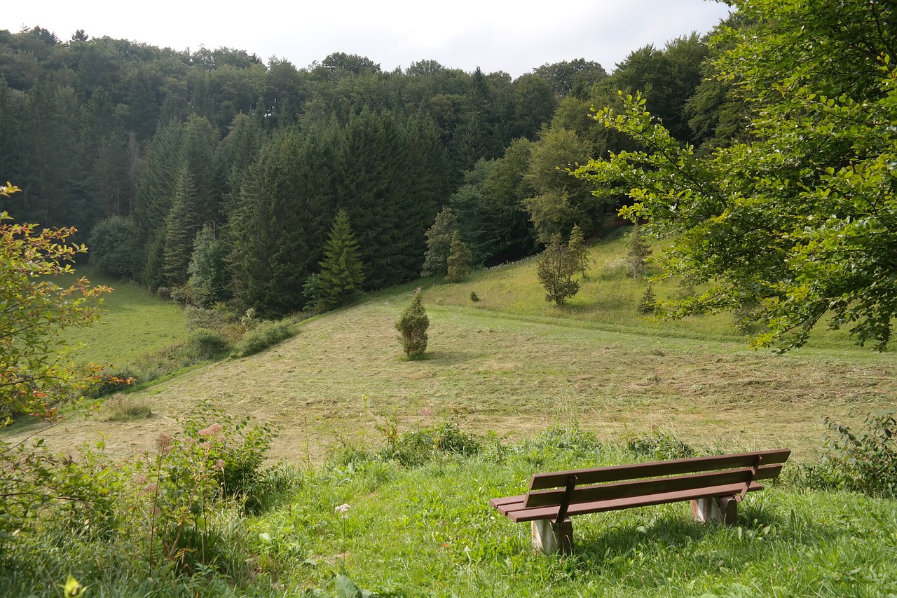 Bankas, Vaizdas, Požiūris, Kraštovaizdis, Swabian Alb, Perspektyva, Schlichemursprung, Schlichem, Nemokamos Nuotraukos,  Nemokama Licenzija